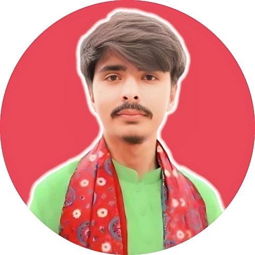 Developer